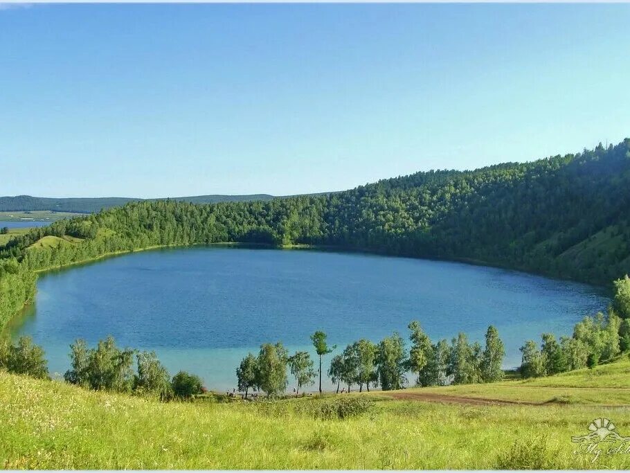 Озеро круглое Шарыповский. Озеро круглое Красноярский край. Оз круглое Шарыповский район. Озеро Кашколь Шарыповский район. Шарыповские озера красноярский