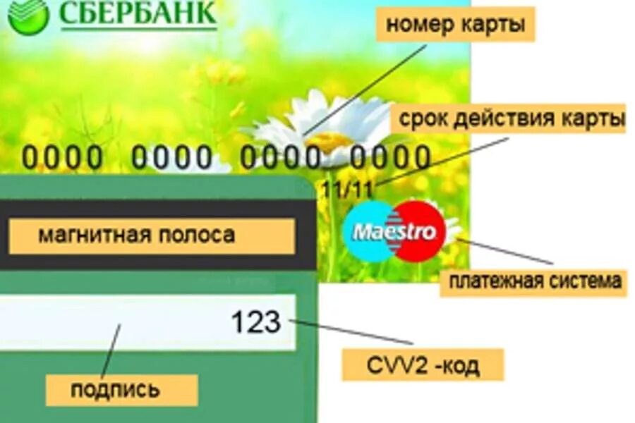 Что такое cvv2/cvc2 на банковской карте сбербанка. Cvc2/cvv2 код что это. Что такое мм/гг. Номер карты и cvv. Номер банковской карты сбербанк.