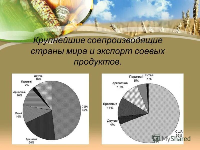 крупнейшие в мире производители и экспортеры сои. крупнейшие в мире производители и экспортеры сои. крупнейшие в мире производители и экспортеры сои. лидеры по производству сои. крупнейшие производители сои в мире.