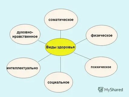 Выберите виды правильные виды здоровья