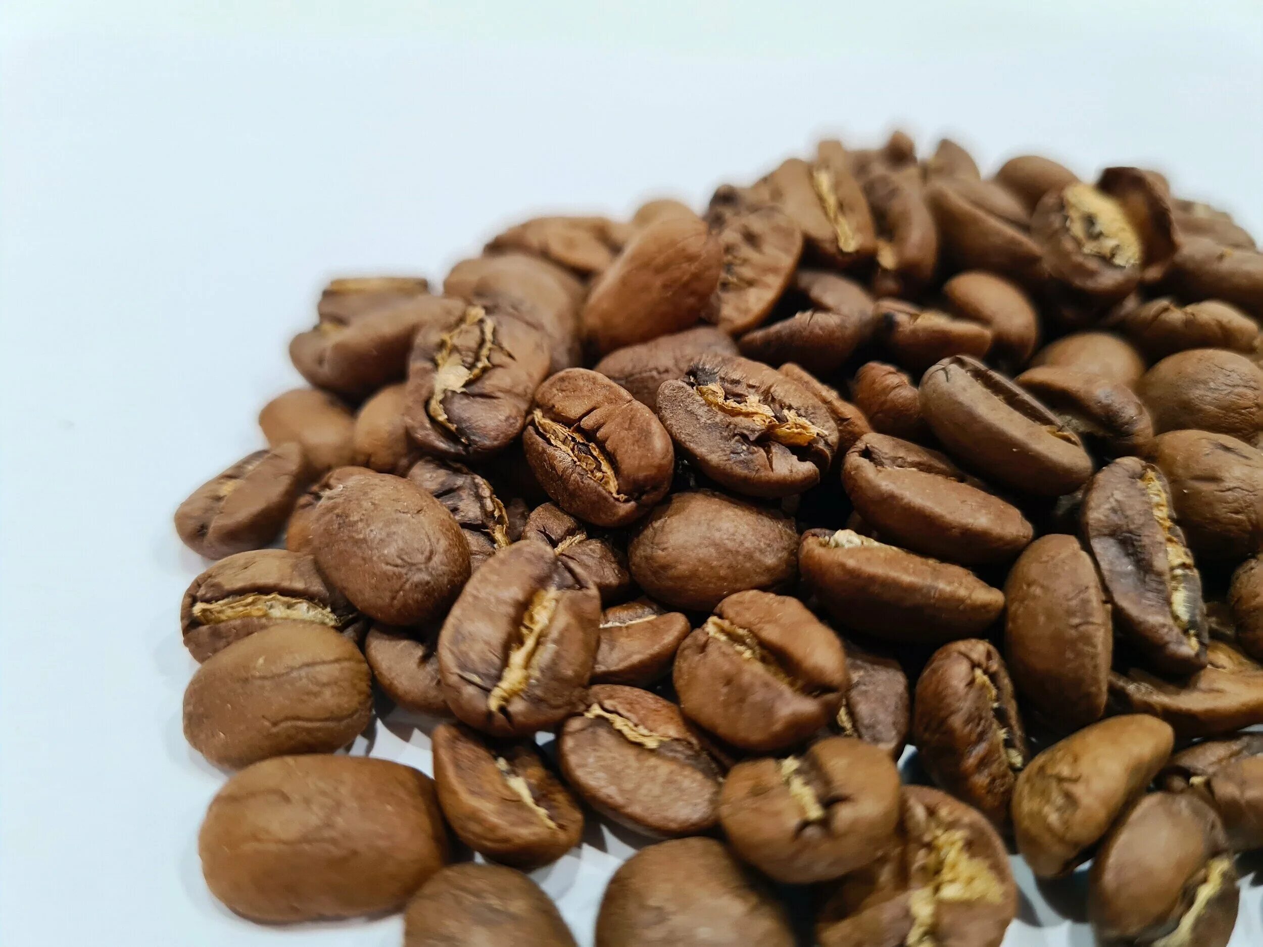 кофе мадео марагоджип никарагуа. кофе в зернах марагоджип. кофе никарагуа марагоджип фото. кофе maragogype nicaragua. кофе кения 100 арабика.