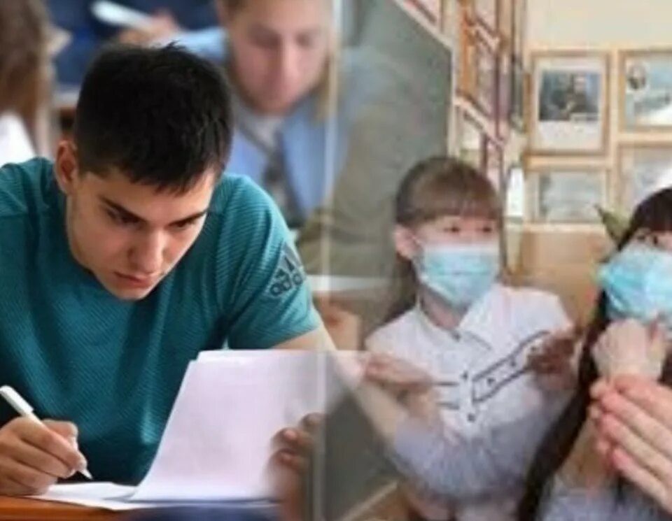 Возобновление занятий в школах. Ученик. Практика в школе картинки. Школьники решили п. Школьники решили п.