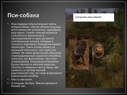 Псевдо это