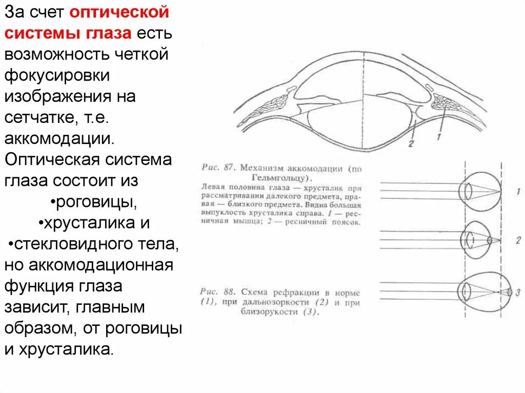 Аккомодация рисунок. Аккомодация глаза состояние оптического стресса. Аккомодация глаза состояние покоя фокус. Состояния аккомодации глаза таблица. Состояние хрусталика при аккомодации.