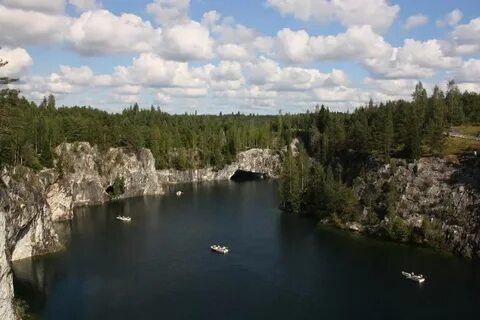 Jarvikala сортавала