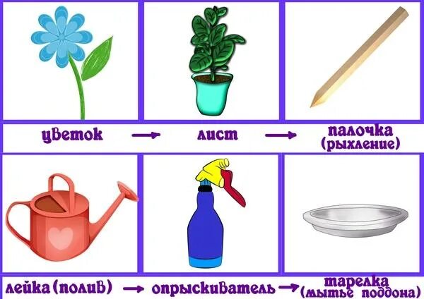 Алгоритм ухаживания за комнатными растениями в детском саду. Алгоритм ухода за цветами. Алгоритм по уходу за растениями. Алгоритм по ухаживанию за комнатными цветами.