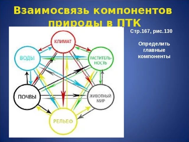 Природные компоненты россии география 8 класс