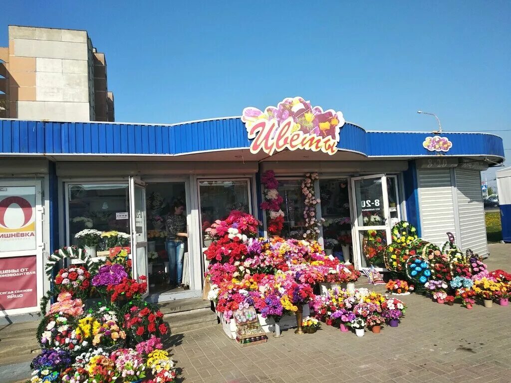 Дом цветов минск. Магазин цветов в белоруссии. магазин цветов в минске. цветы беларусь минск. минска в цветочек.
