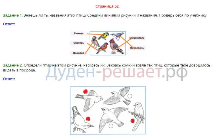 Плешаков окружающий мир 1 класс рабочая тетрадь 1 стр 52. Окружающий мир 1 класс рабочая тетрадь птицы. Окружающий мир 1 класс рабочая тетрадь 1 страница 52. Как зимой помочь птицам 1 класс окружающий мир рабочая тетрадь. Окружающий 3 класс страница 52