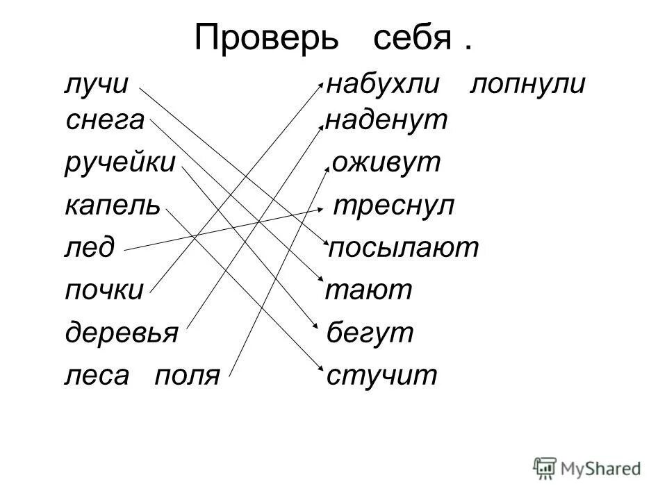 Единственный число лучами.