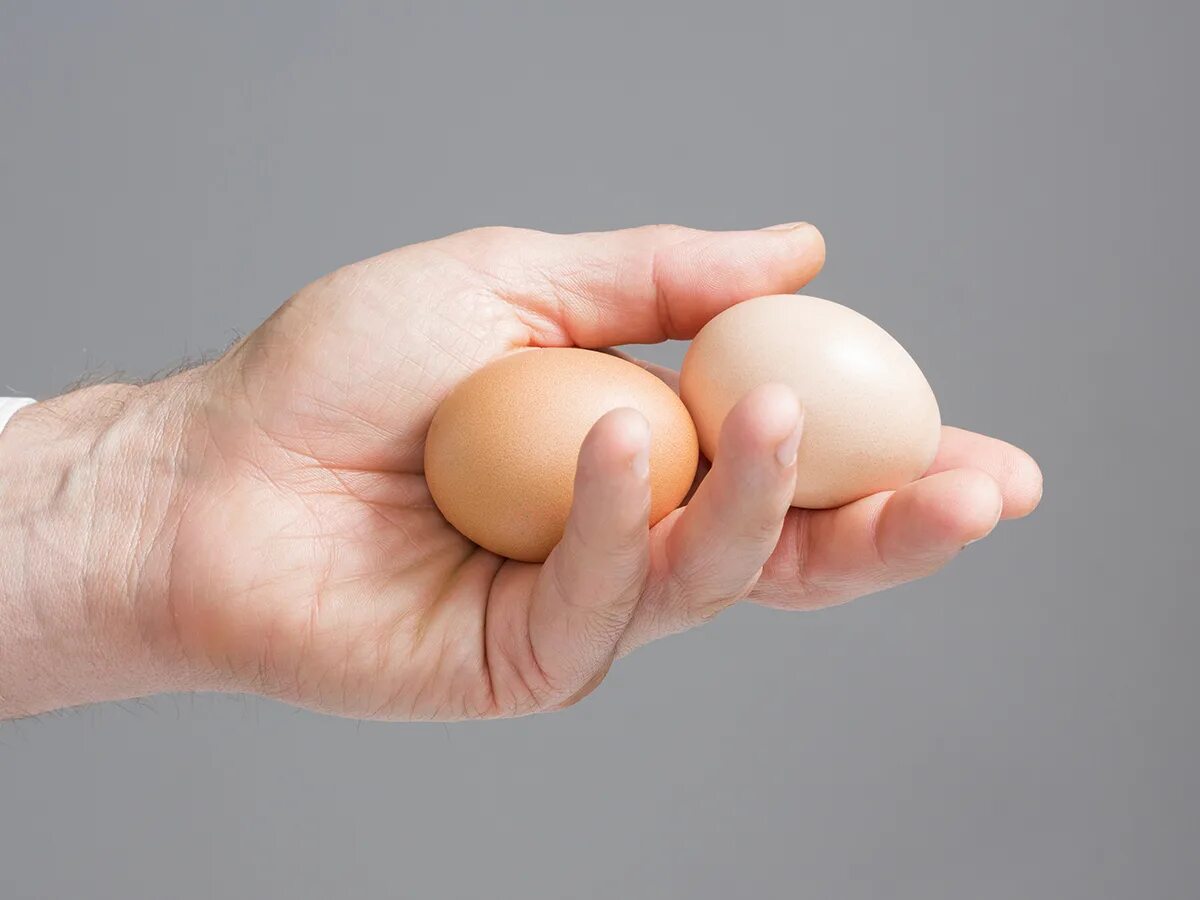 Человек яца. Человек яца. Счастливый джим керри. Суперсила человека. Сорт яиц с0.