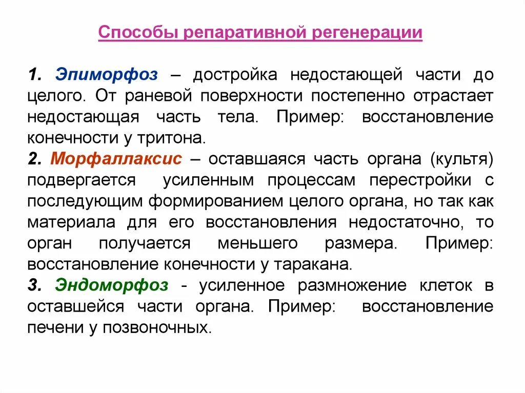 Способы регенерации. Способы репаративной регенерации. Эпиморфоз регенерация. Формы (способы) репаративной регенерации.