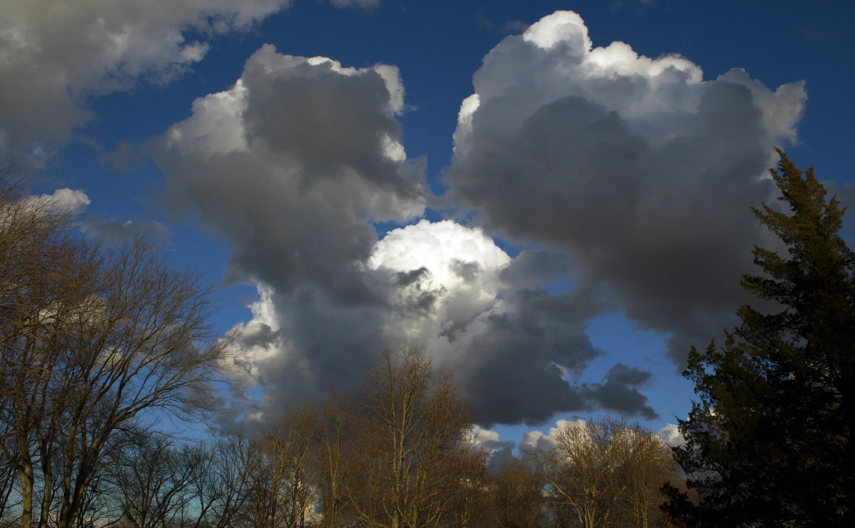 Висели серые облака. Кучевые облака. Весенние тучи. Кучевые облака весной.