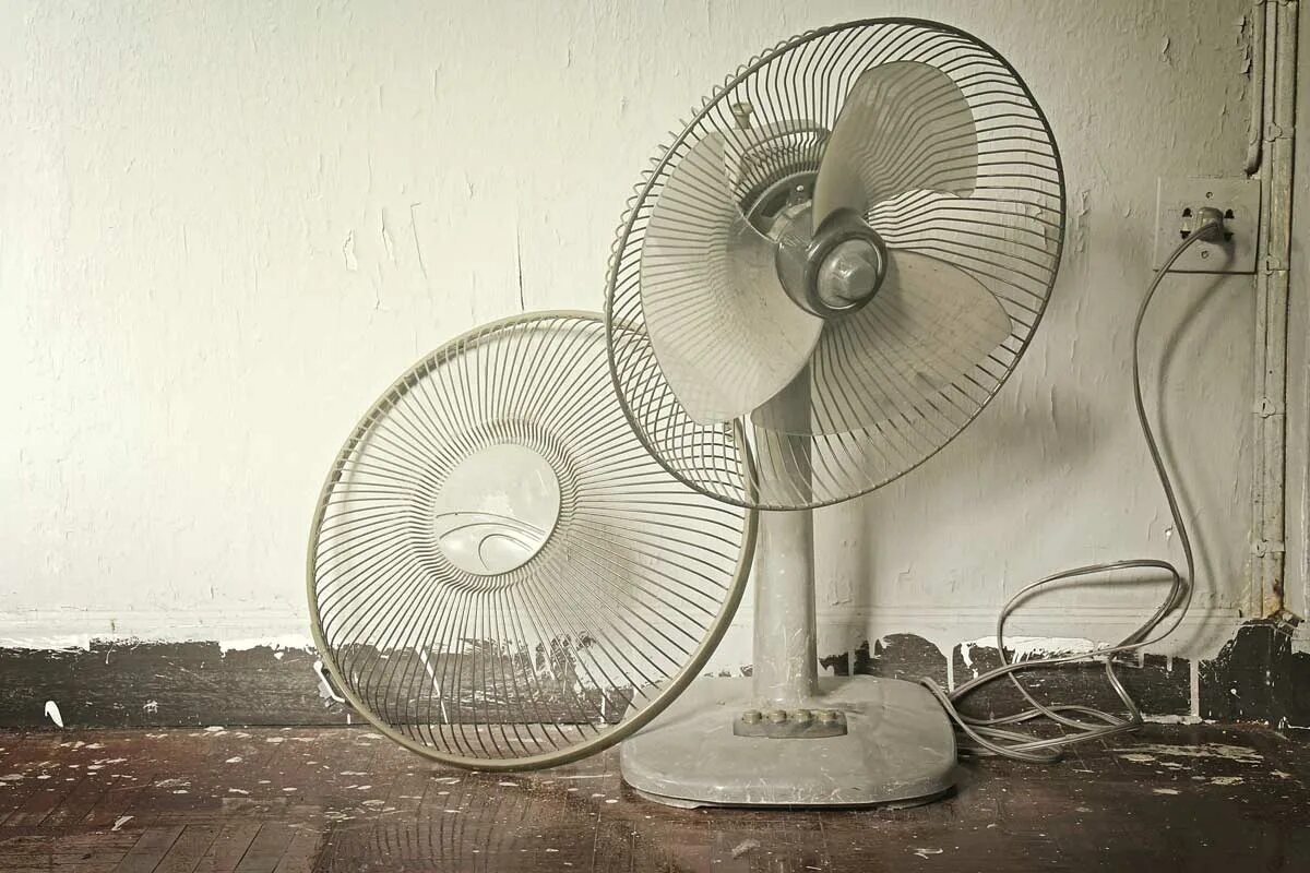 Old fans