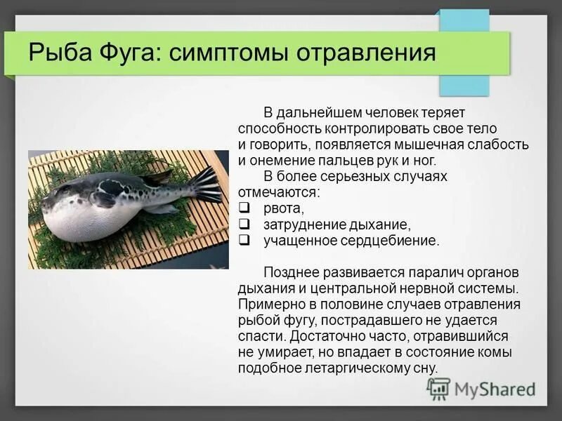 Можно ли отравиться икрой симптомы. Отравление рыбой фугу. рыба фугу отравление симптомы. отравление ядовитыми рыбами. рыба фугу последствия отравления.