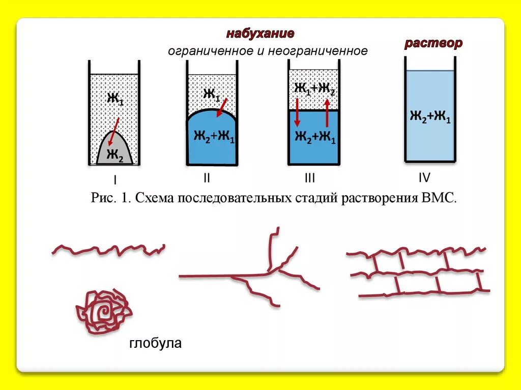 Степень набухания вмс. Набухание растворов вмс. механизм набухания и растворения вмс. набухание и растворение высокомолекулярных соединений. ограниченное набухание полимеров.