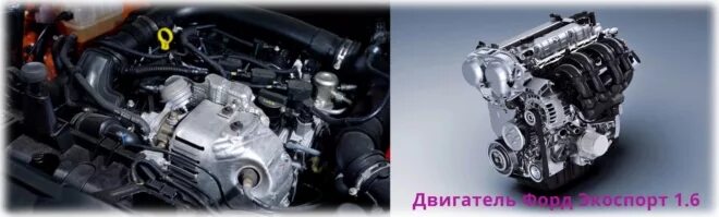 1.6 l sigma ti vct. Форд Экоспорт двигатель 1.6. 1.6 Ti-VCT 125. Двигатель Ford VCT. Номер двигателя ti VCT Ford.