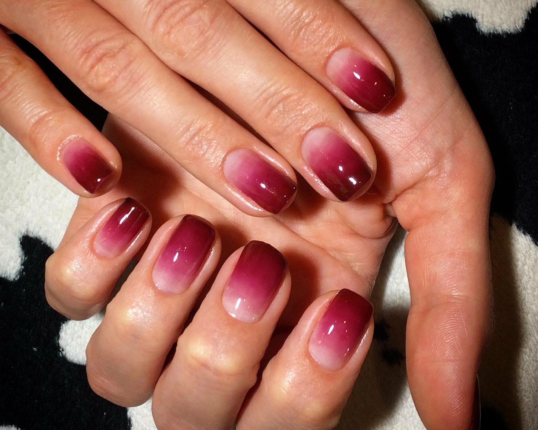 шеллак для ногтей. шеллак однотонный. ногти короткие. гелевые ногти короткие. покрытие ногтей гель лаком.