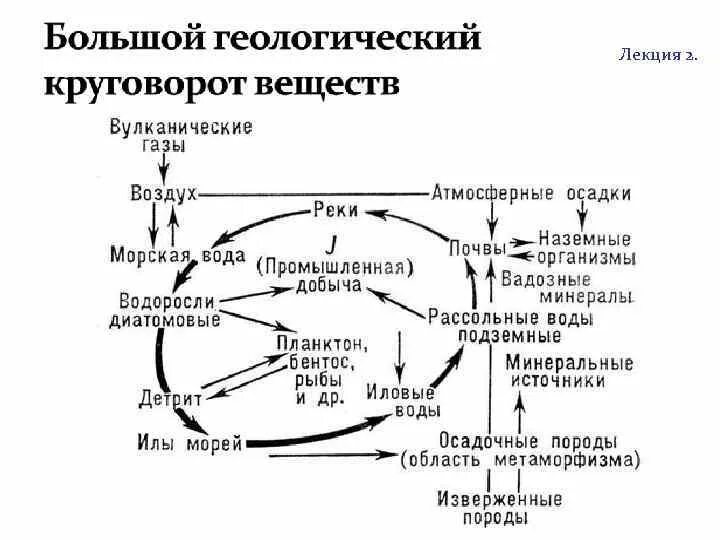 Геологический круговорот веществ схема. Схема большого геологического круговорота. Большой геологический и малый биологический круговорот веществ. Большой геологический круговорот. Фф большой круговорот