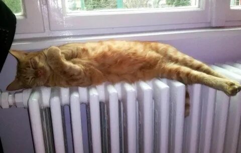 Скоро придет тепло