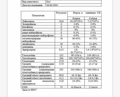 Кошки расшифровка