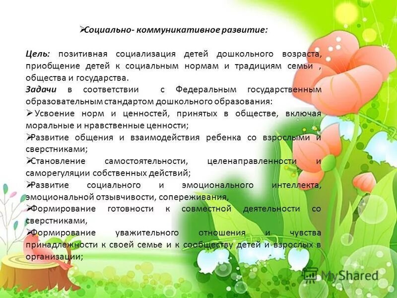 приобщение ребенка к социальному миру