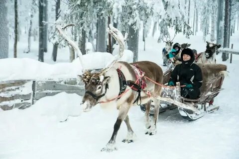 Лапландия парк