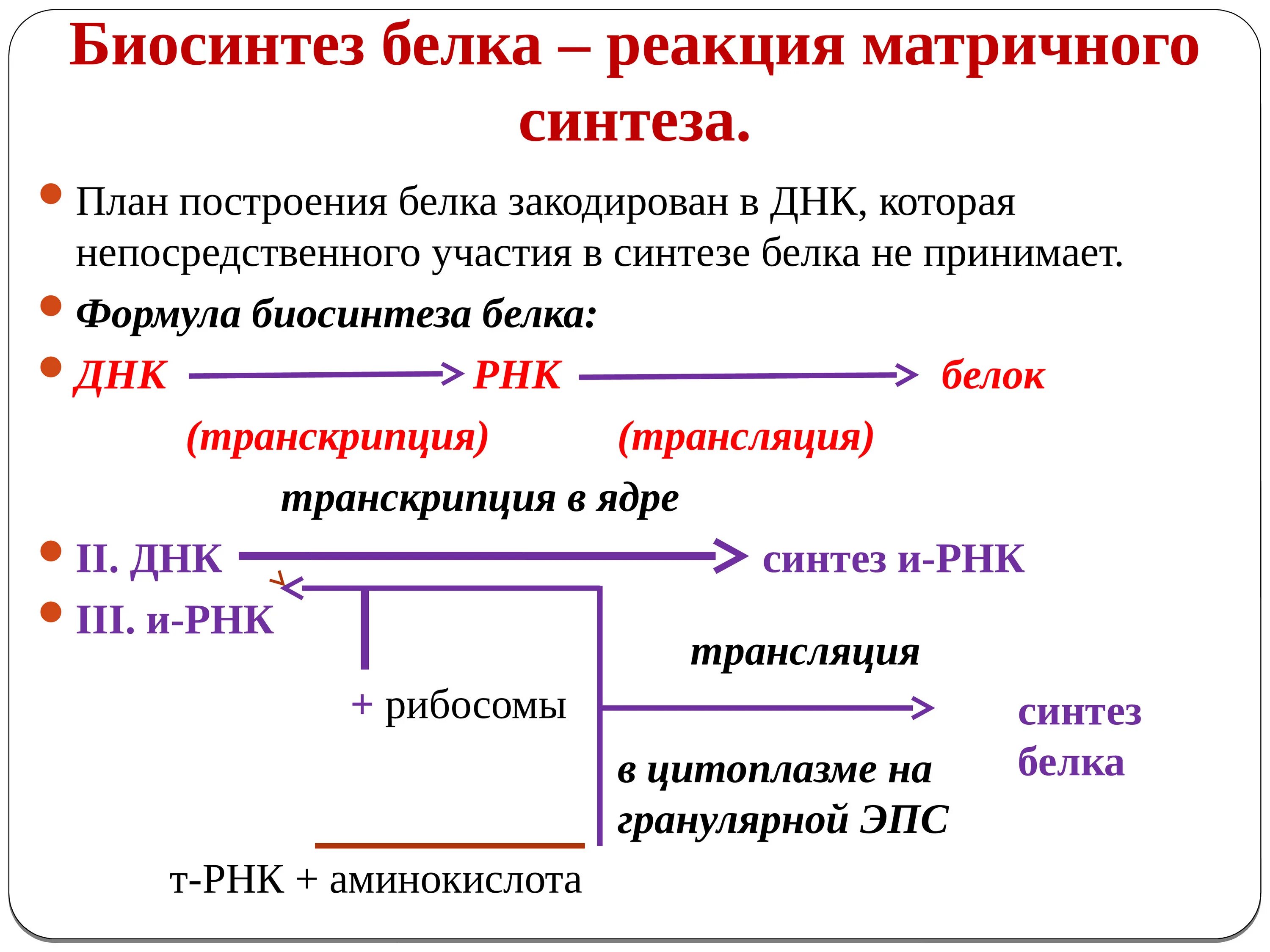 Последовательность транскрипции трансляции. Реакции матричного синтеза Синтез белка. Реакции матричного синтеза схема. Биосинтез белка реакции матричного синтеза. Реакции матричного синтеза схема Синтез белка.