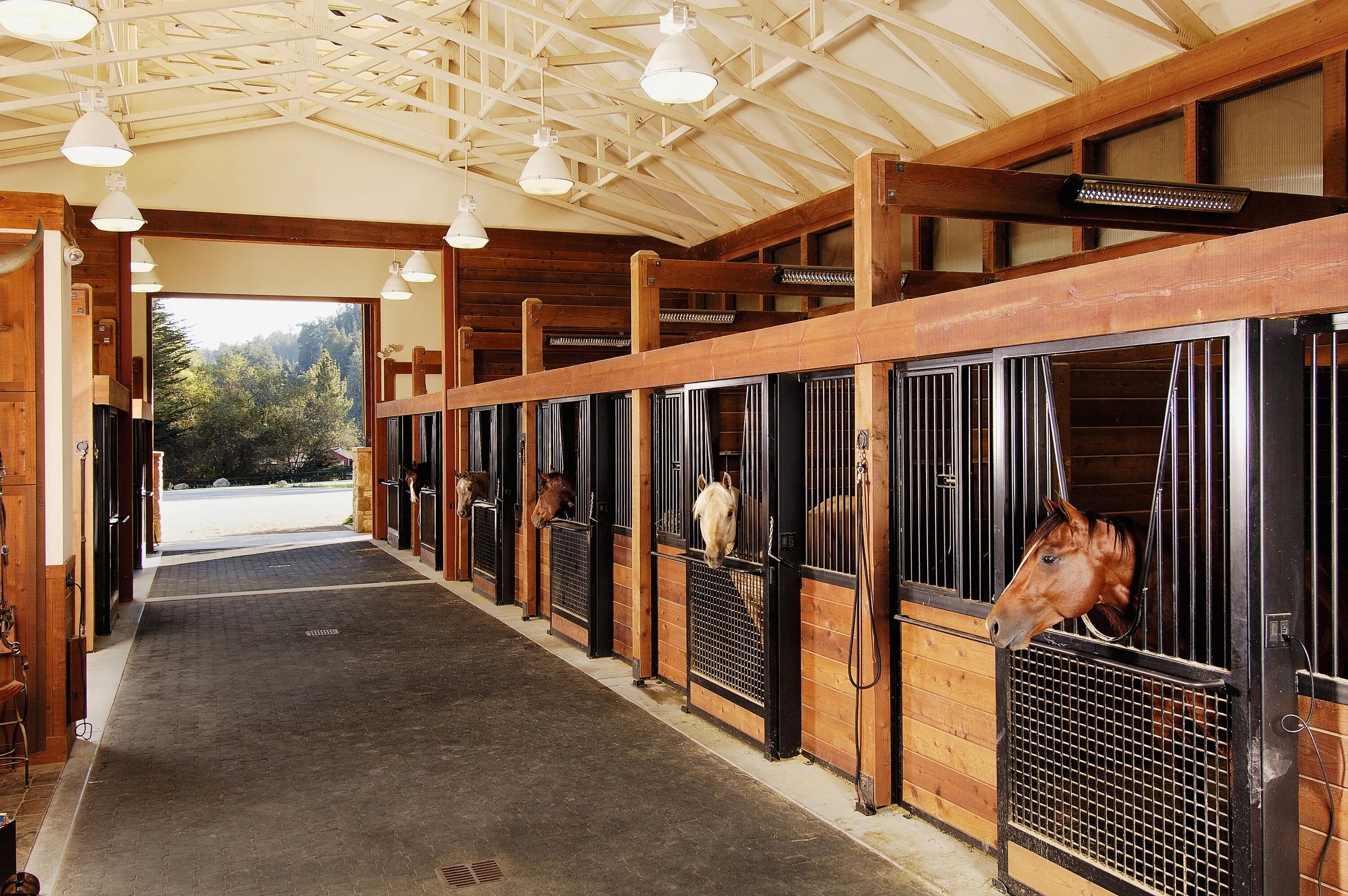 Комнаты кск. Грин Хорс конюшня Симферопольское шоссе. Конюшня Solana stables. СТК магистраль денники. КСК изумрудный лес конюшня.