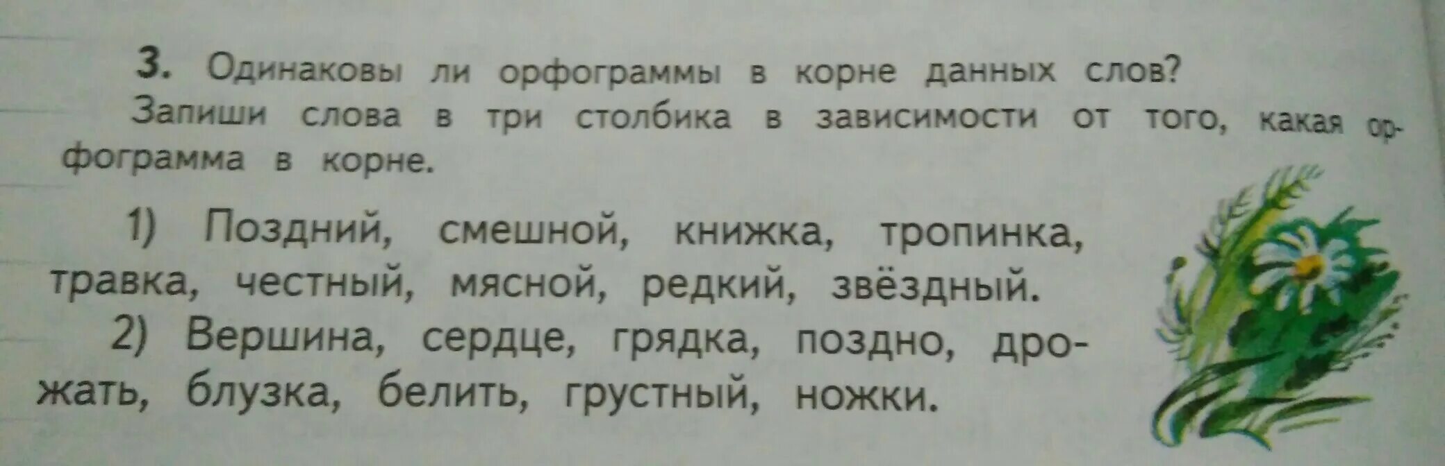 Какая орфограмма в слове подбирают. Какая орфограмма в слове. Орфограмма в слове поздний. Орфограмма в слове травка. Запишите слова в зависимости от орфограммы.