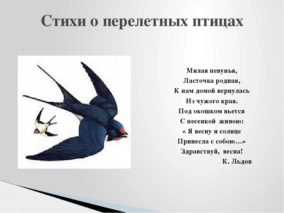 Славно ласточка щебечет ловко крыльями стрижет всем. Перелетные птицы ласточка для детей. короткое стихотворение пушкина ласточка. ласточка стихотворение. стих про ласточку.