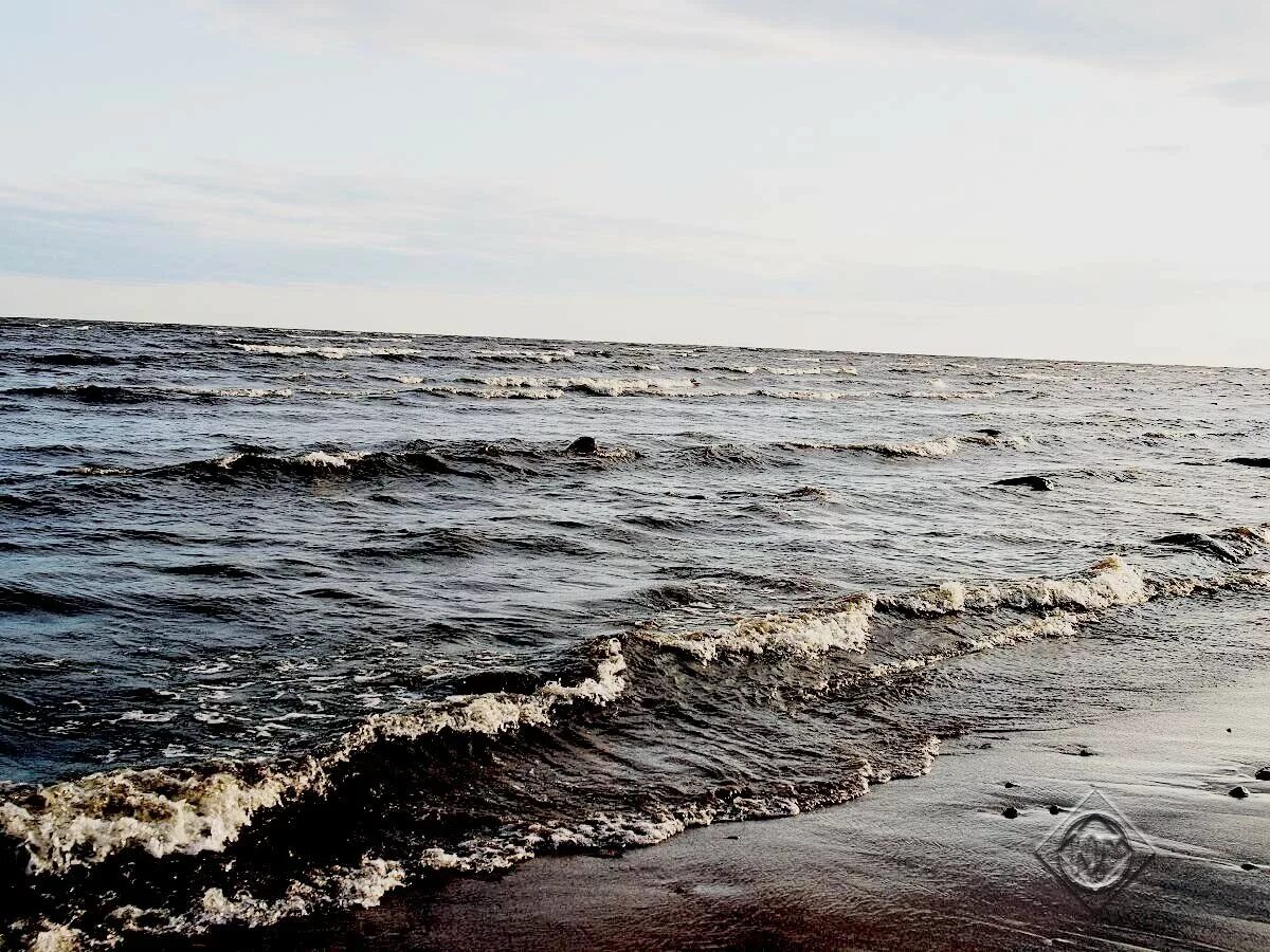 Финский залив вода. Финский залив волны. Финский залив пресный. В финском заливе вода соленая. Финский залив соленая вода