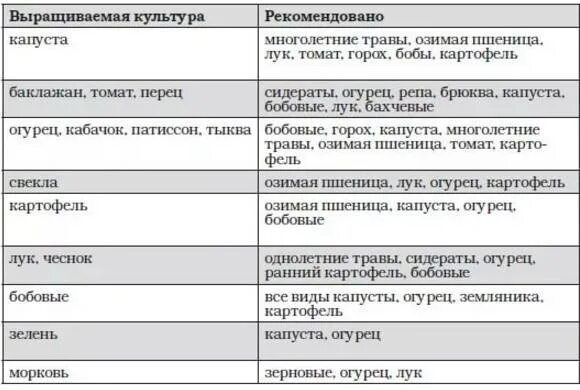 После чего можно сажать морковь на следующий год. Что можно сажать после моркови на следующий год. Что можно сажать после Морко. После чего сажать морковь.