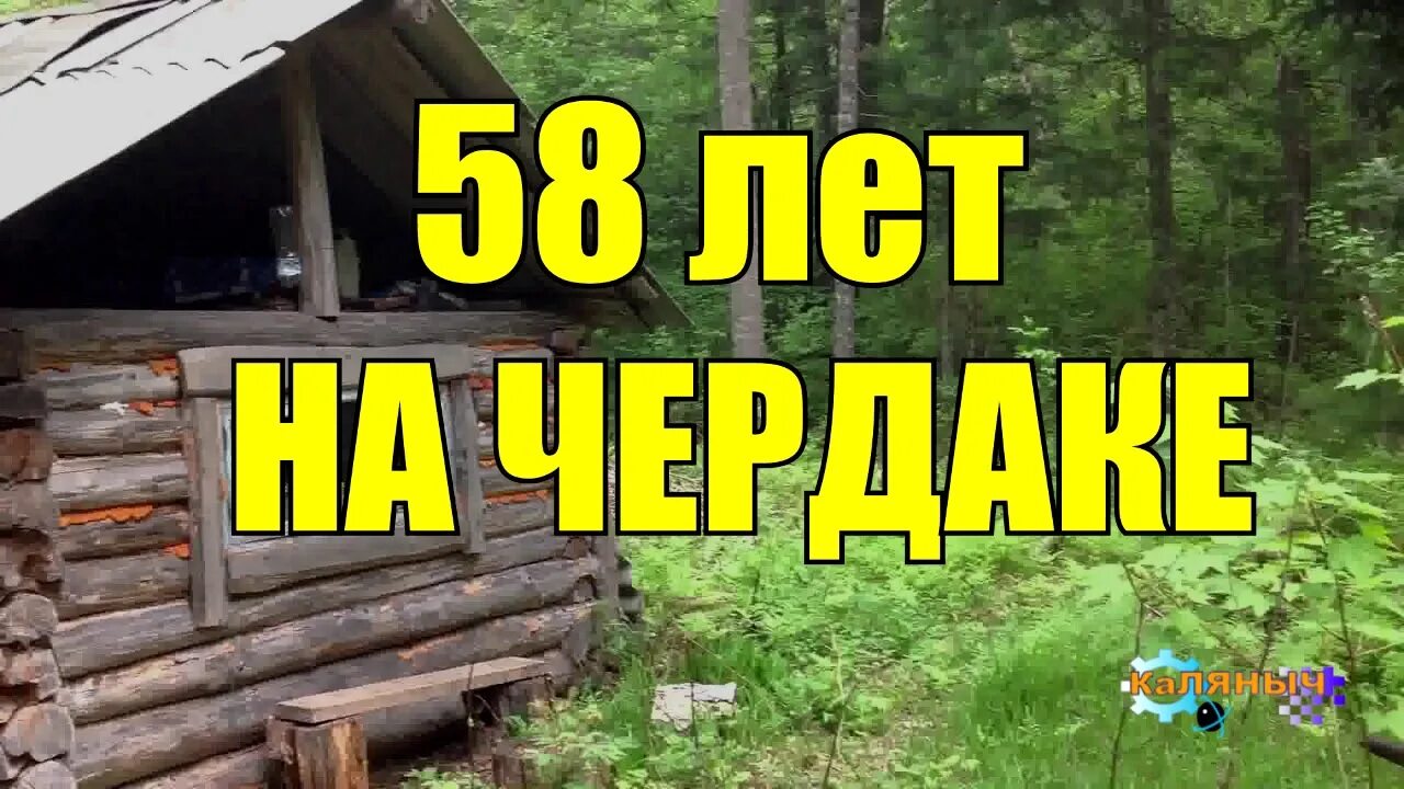 Аудиокнига дед каляныч. Дом отшельника в лесу. каляныч рассказы о тайге аудиокниги. каляныч рассказы о тайге аудиокниги кто читает.