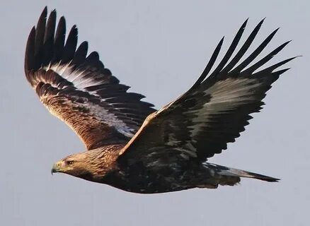 Толық метражды үйдегі порно фильмді қараңыз