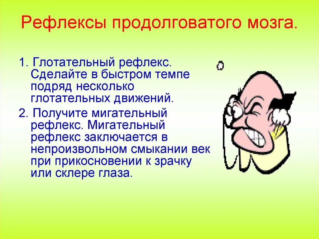 Рефлексы продолговатого мозга. Рефлексы продолговатого мозга. Глотательный рефлекс. Рефлекс продолговатого мозга мигательный рефлекс. Рвотный рефлекс продолговатого мозга.