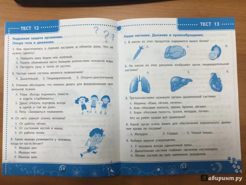 Контрольные тесты по окружающему миру 3 класс. Окружающему миру 3 класс тесты. Тесты для четвёртого класса. Тест по окружающему миру 3 класс. Окружающий мир. 3 Класс. Тесты.