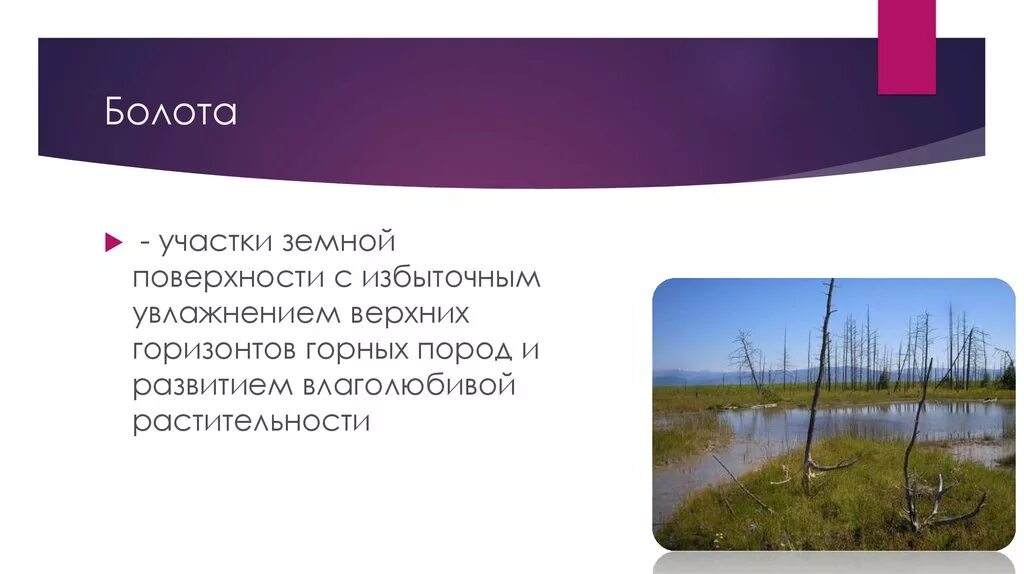 Увлажнение избыточное много болот озер. Геология болота. Геологическая деятельность болот. Геологическая деятельность озер и болот. Геологическая работа болот.