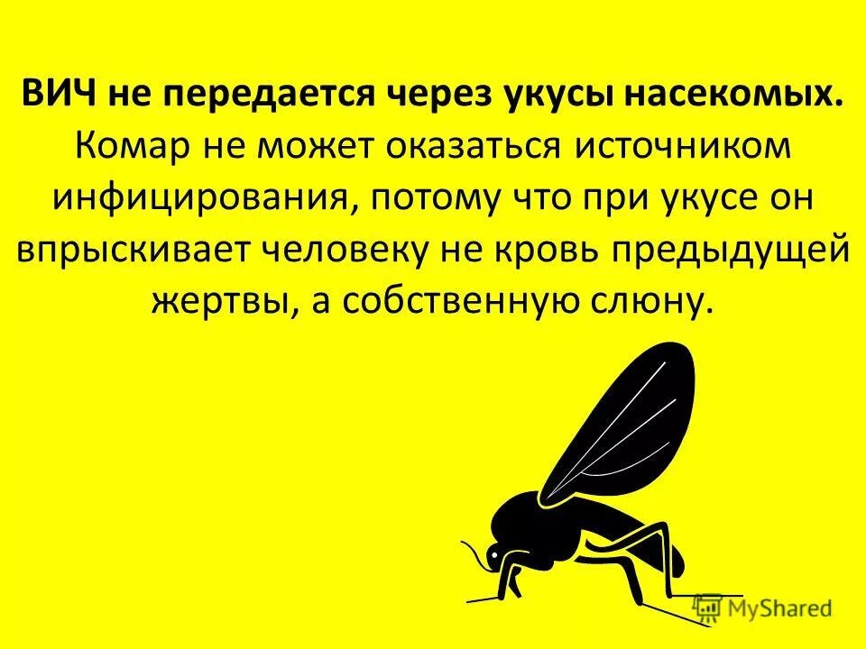 Передается при укусе насекомых. Спид передаётся через насекомых. спид передаётся через кровососущих насекомых. передается ли вич через укусы насекомых. передают ли вич при укусах насекомых.