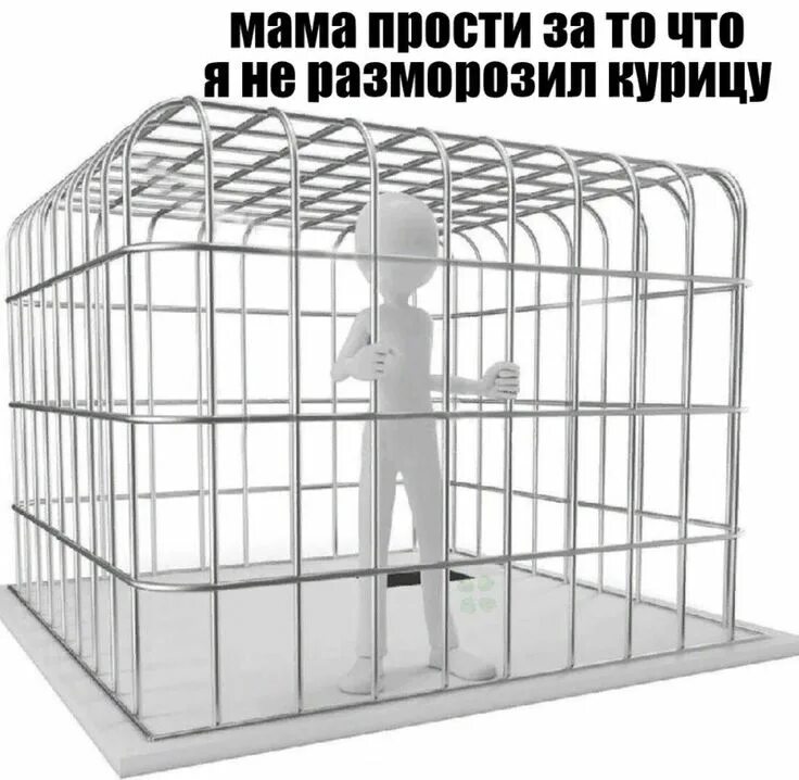 Песня заходи в мою большую клетку хочешь