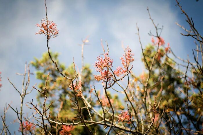 3 неделя ноября. 3 неделя ноября. Уходит ноябрь стихи. 3 неделя ноября. Календарь беременности.