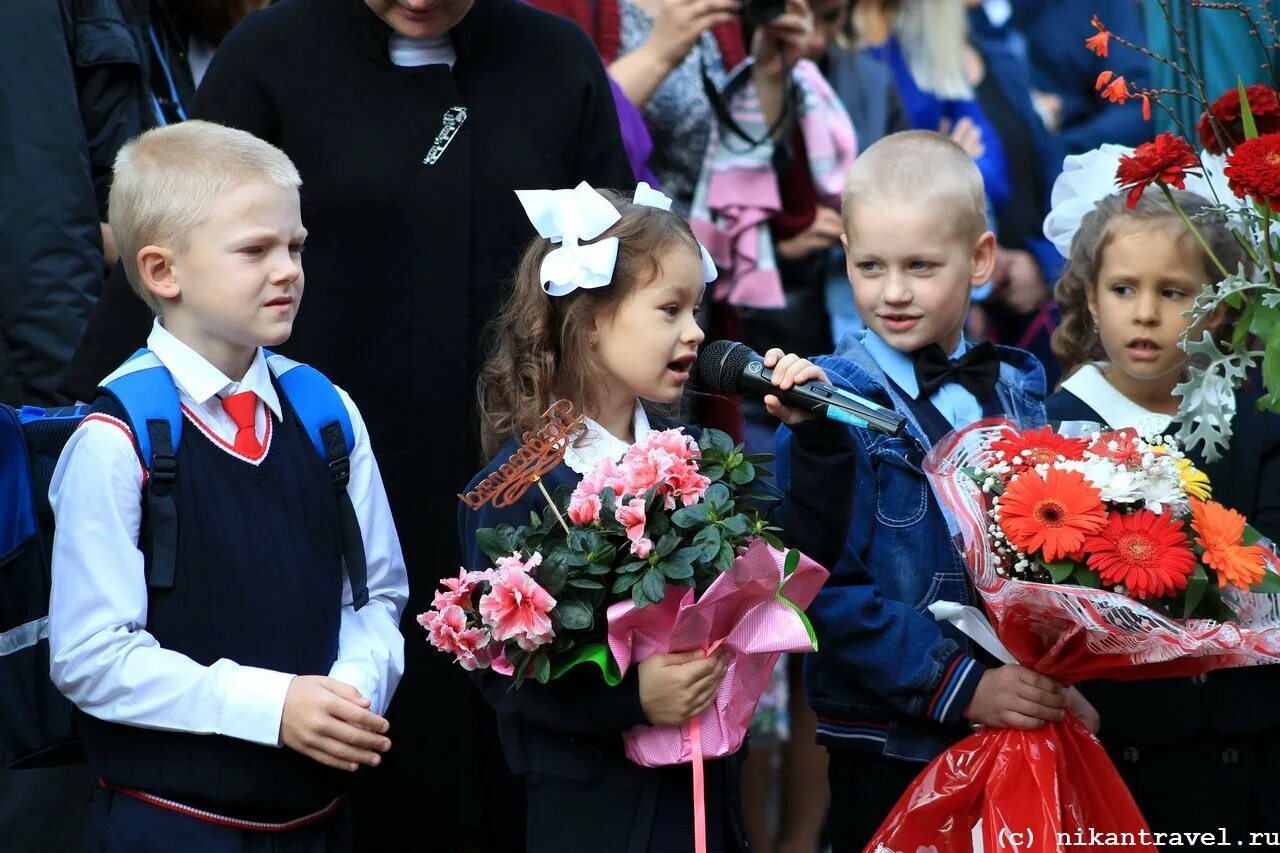 Волхов ленинградская область школы. Волхов Ленинградская область школа 8. Школа 8 Волхов 7а. Школа 5 Волхов 4 класс.