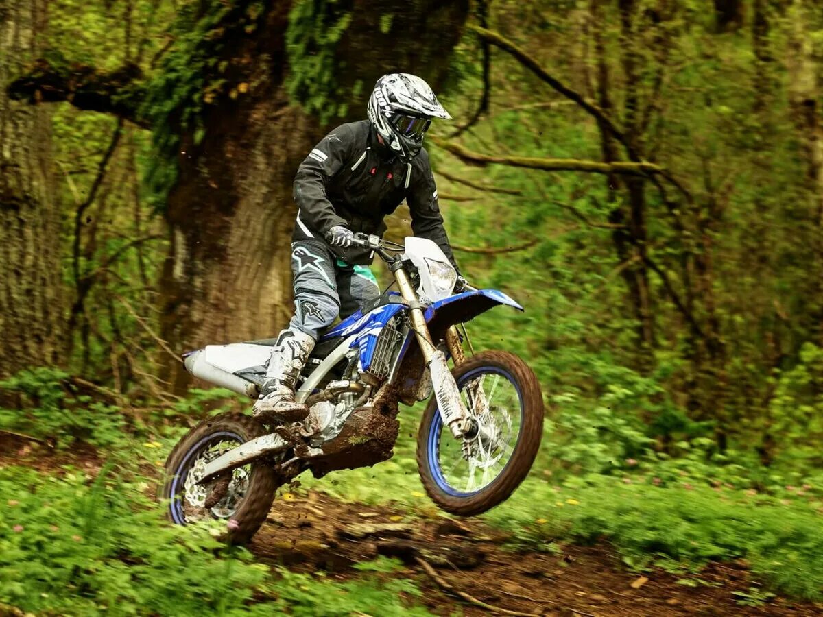 Ктм 450 эндуро. Эндуро мотоциклы уфа. Motoland 250 2021. Grx 250 эндуро. Мотоцикл avantis enduro 250.