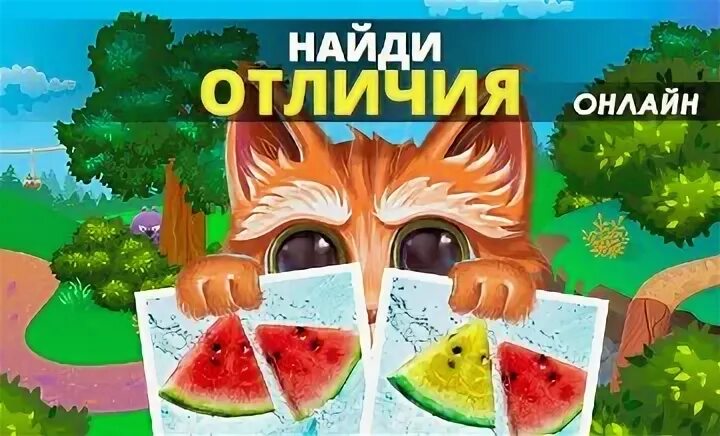 Котопоиск отличия