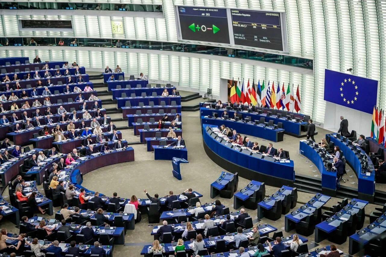 Европарламент выборы в 2024 году когда. Страсбург европарламент. Мик уоллес европарламент. Выборы в европейский парламент. Выборы в европарламент.