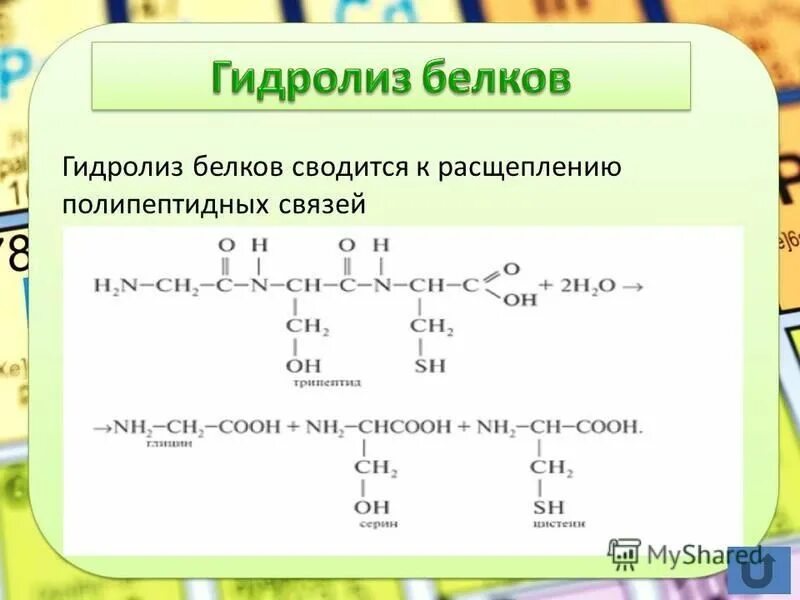 Гидролиз природных белков. Гидролиз белка уравнение. Гидролиз первичной структуры белка. Химические свойства белков химия 10 класс.