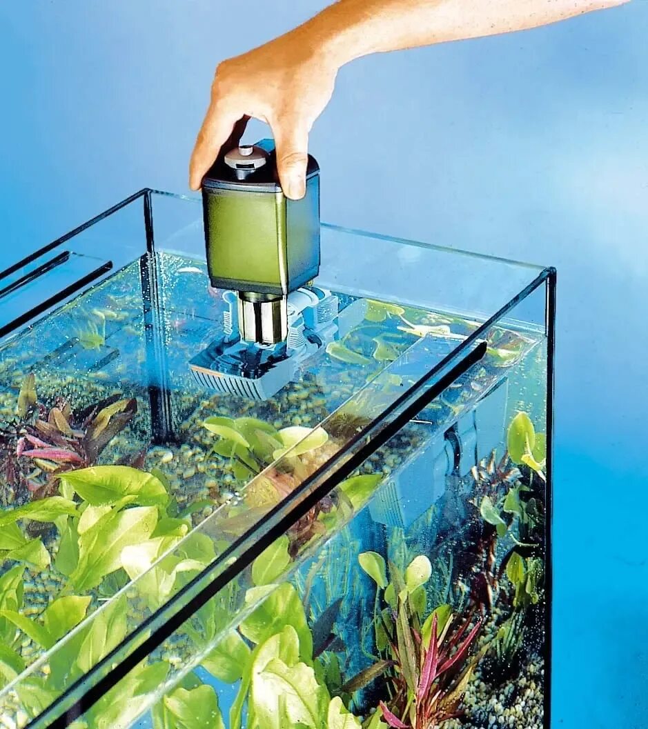 Отстоянная вода для аквариума. Отстаивать воду для аквариума. Eheim 2006. Фильтр eheim 2008 для аквариума. Правильный аквариум.