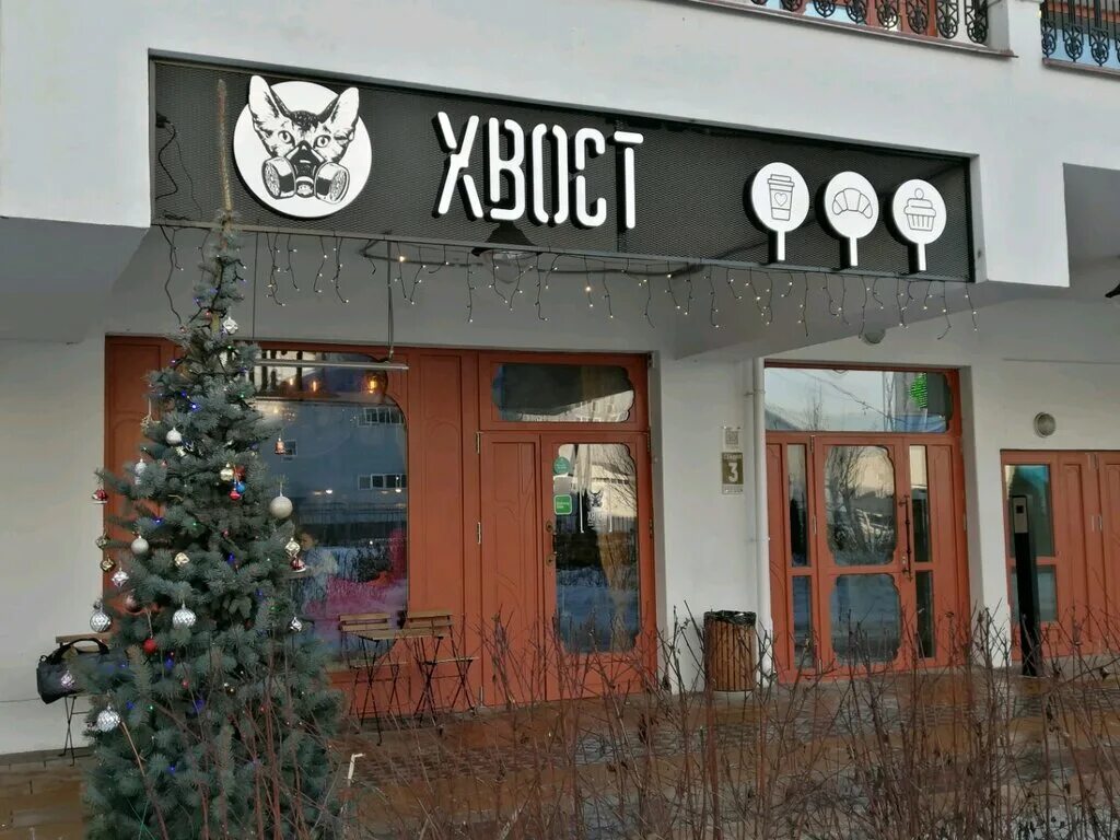 прически в стиле авангард. экстравагантные прически. хвост авангардная 3. прически в стиле футуризм. фантазийные прически.