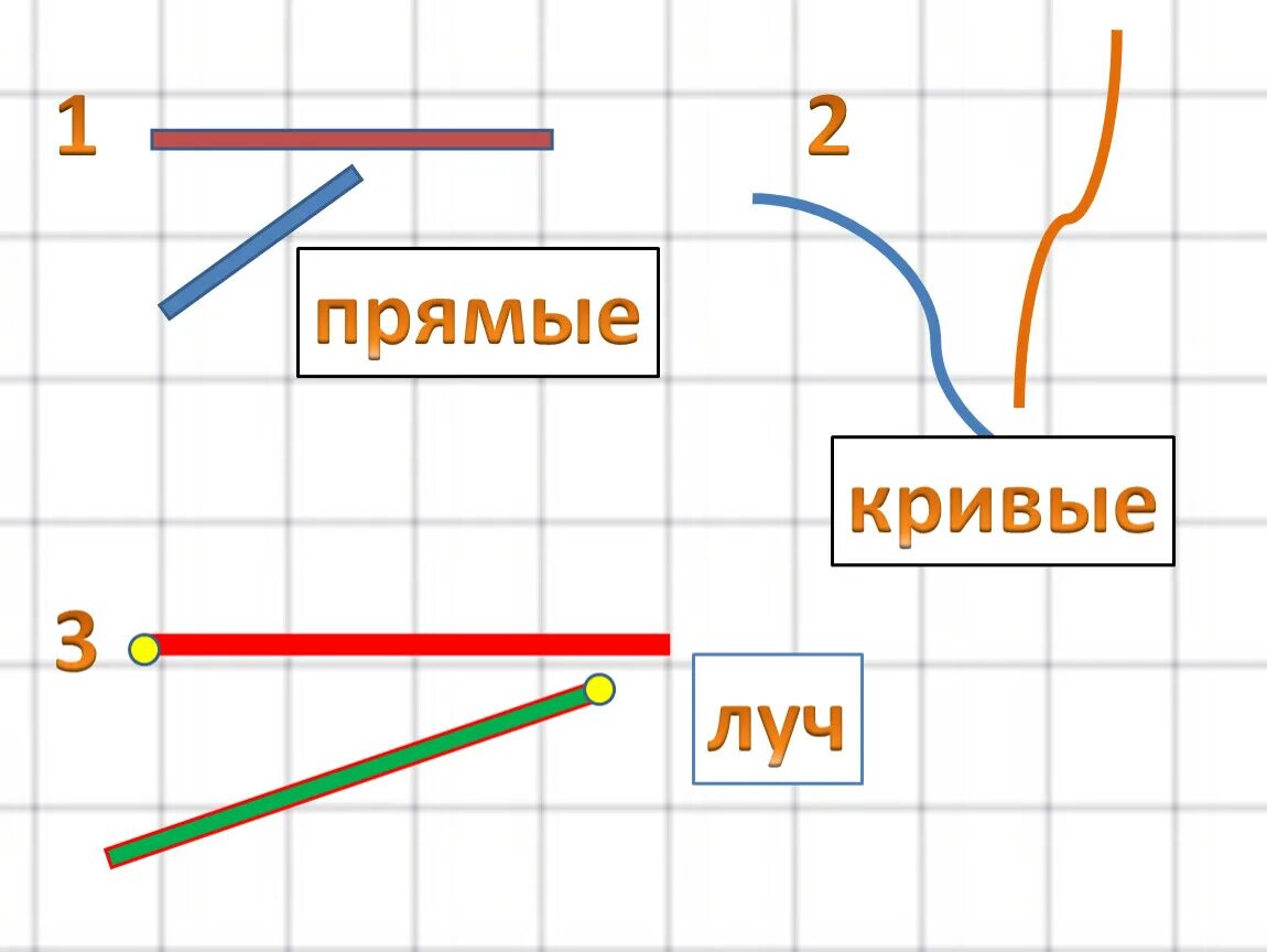 Ломаная линия 2 класс математика. Ломаная линия 1 класс. Прямые и кривые линии. Прямые кривые и ломаные линии. Ломаная прямая 1 класс