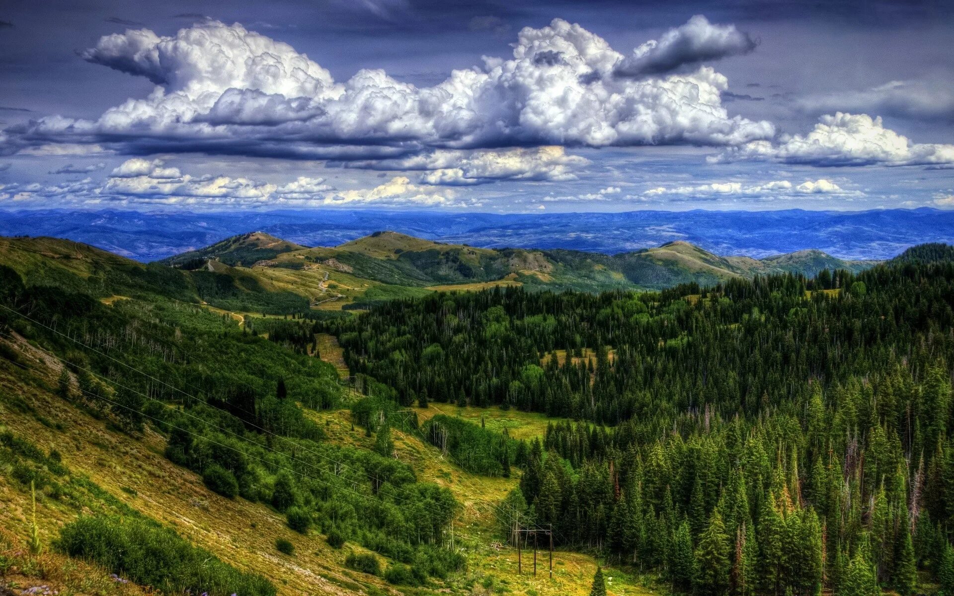 Картинка вид. Пейзаж. Вид с горы. Природный ландшафт. Красивые виды леса.